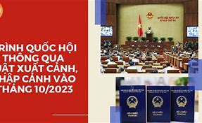 Luật Xuất Nhập Cảnh Mới 2020 Của Việt Nam 2019 Là Bao Nhiêu