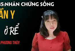 Thần Y Ở Rể Tập